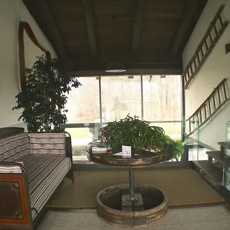 Il Vecchio Mulino Di *