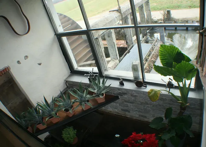 Country house Il Vecchio Mulino Di *